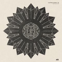 Capricorn 15