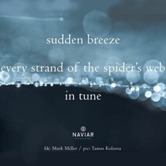 Spider's Web in Tune [NaviarHaiku473]