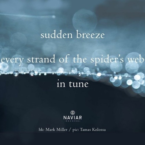 Spider's Web in Tune [NaviarHaiku473]