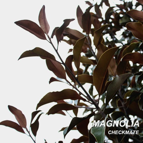 Checkmate – COLOR BREATHING (FT. HEADS)