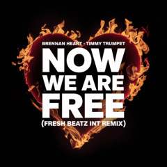 BRENNAN HEART TIMMY TRUMPET - NOW WE ARE FREE (FRESH BEATZ INT BOOTLEG)