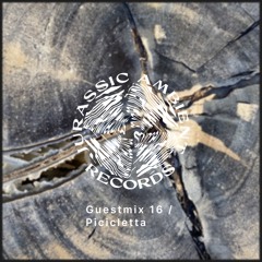 Guestmix_16_Picicletta