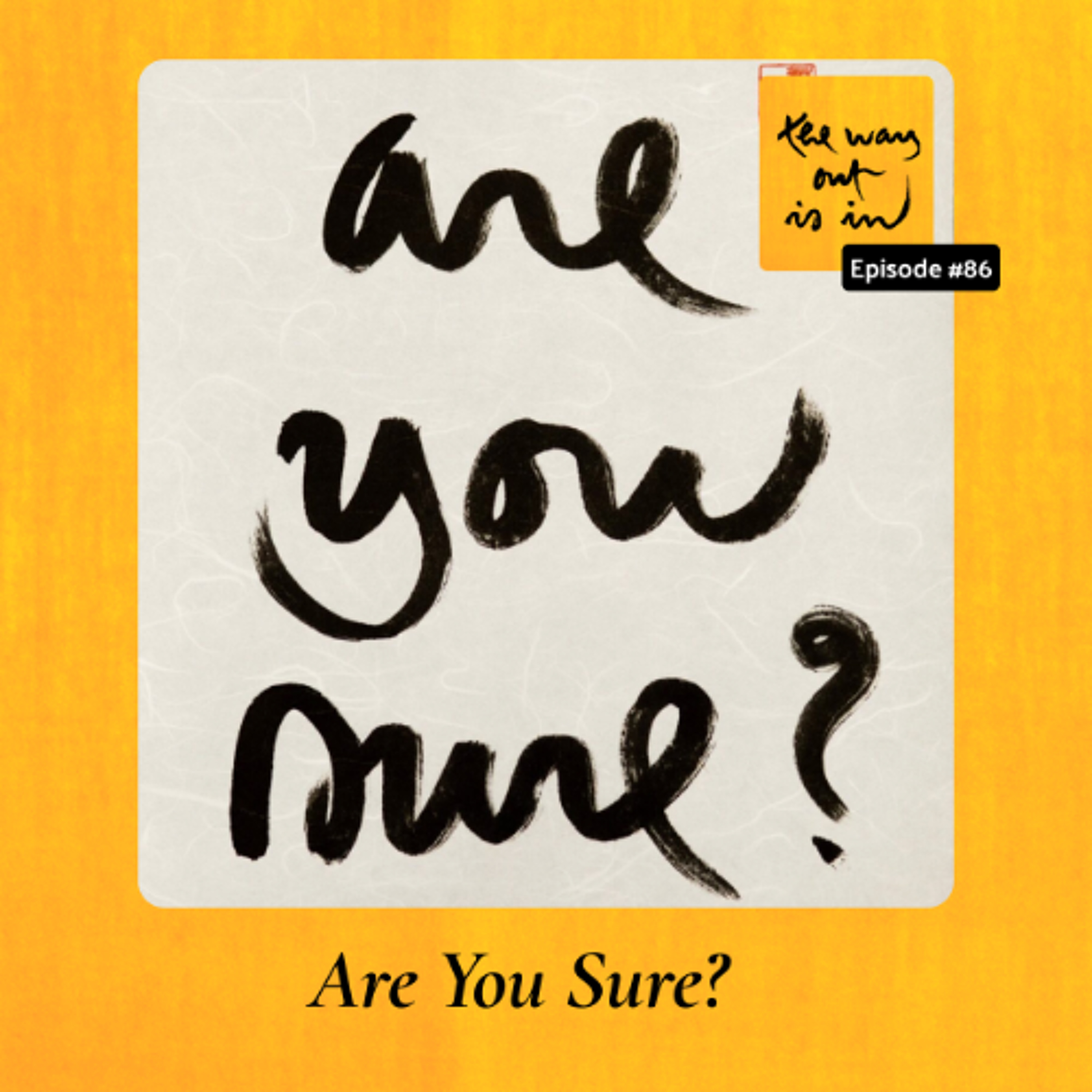 Are You Sure? | TWOII podcast | Episode 86 episode artwork