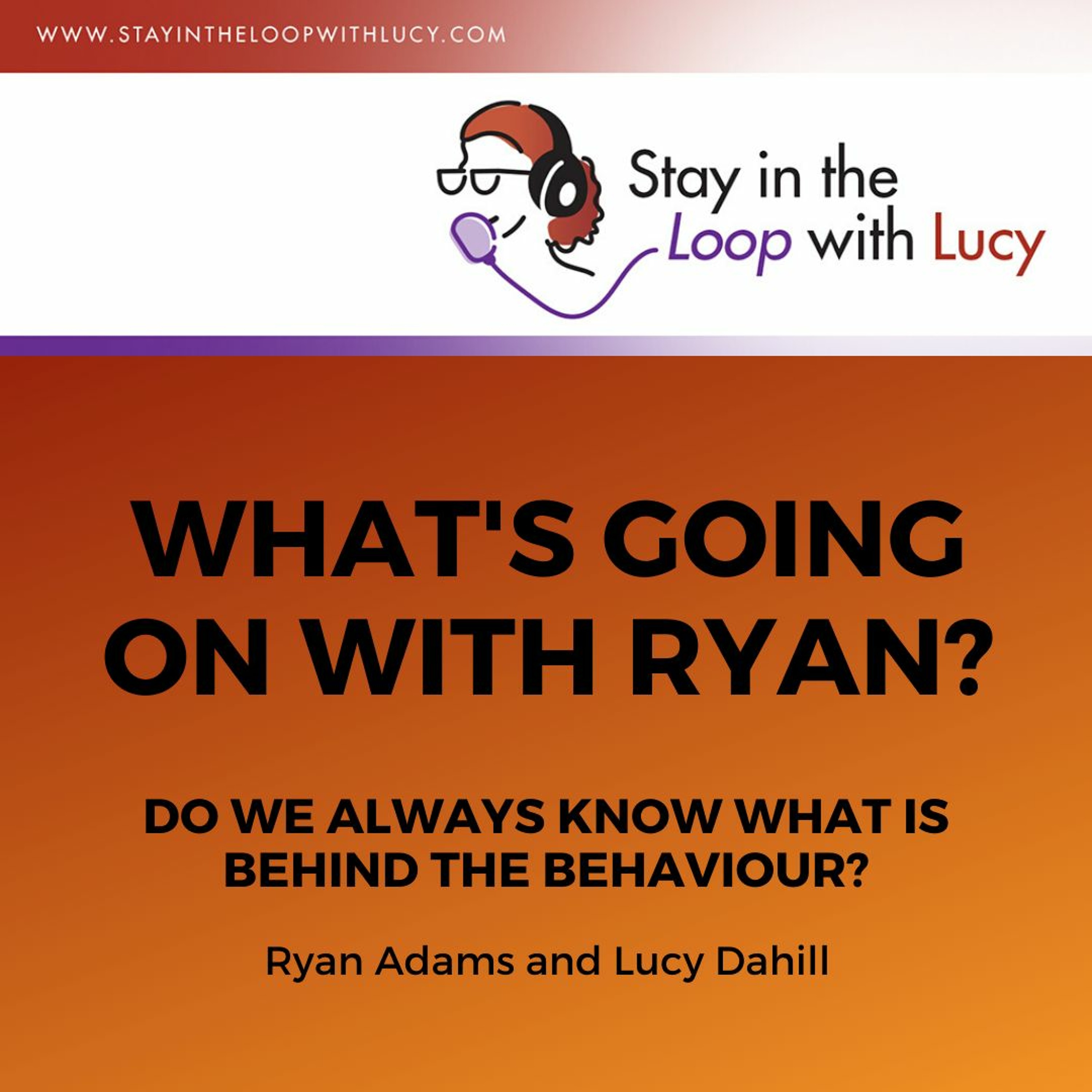 Stay in the Loop with Lucy