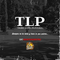 Tigre León Pantera