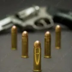 love kills with a gun 2