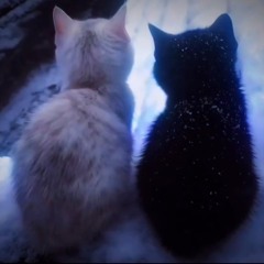 stay with me (prod. gusuck)