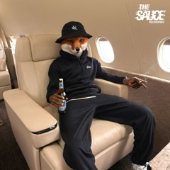 The Sauce & Fox - First Class