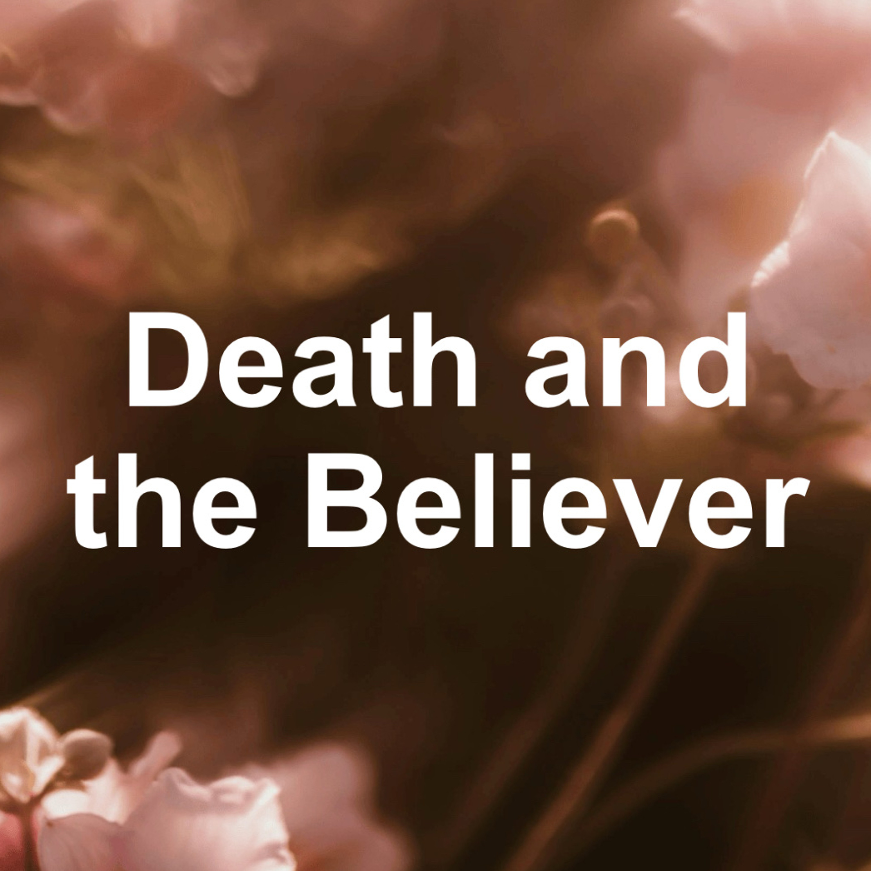 FLC 04/13/25 How the Believer Grieves Part 2 episode artwork