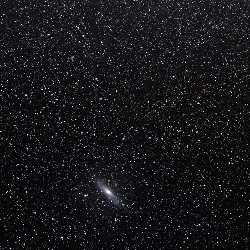 Andromeda