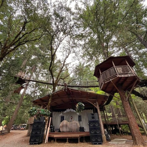 OSMOSIS IN THE TREES  09.29.23