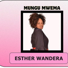 Zaidi ya Mshindi