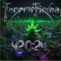 TerrraFirma - 42024