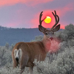 waiting for my game to update