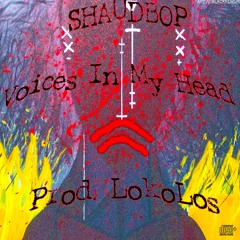 voices in my head prod.lokolos