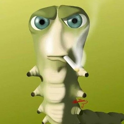 POPDUBZ VS WETRONIC - WIZARD OF WORMS (HEBLO SPESH) [KLIP]