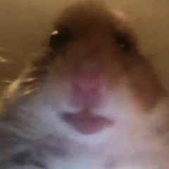 Random Duvet Remix For No Reason