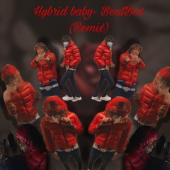Hybrid Baby- BeatBox(remix)