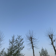 20210403 (Smile ㅋㅋ)