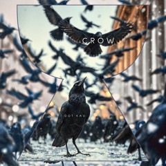 Crow - DOT KAV (prod. GMBEATZ, DOT KAV)