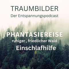 Einschlafhilfe I Entspannung I Phantasiereise "friedlicher Wald"