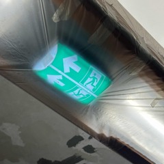 Fresh Winter / Spring - 2025