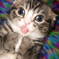 Были танцы (REMIX by budAGE)