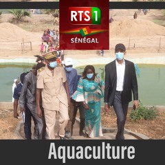RTS 1 : l'Aquaculture avec le Ministre des Pêches et de l'Économie maritime
