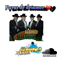 Alegres de la sierra MiX 🍺❤️‍🩹ArmandoDJ