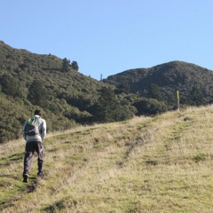 عليك بالتأني