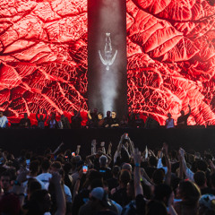 Alfa Romero at Afterlife Barcelona - 14 Jun 2025