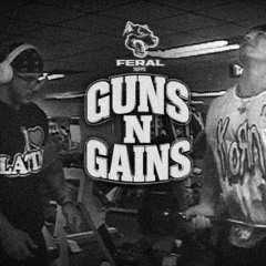 GUNS N GAINS