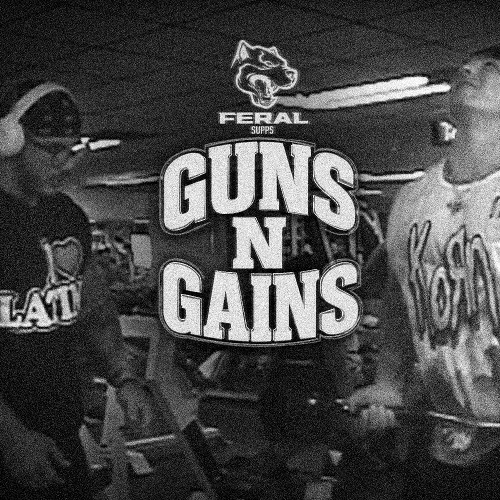 GUNS N GAINS
