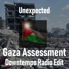 Unexpected (Gaza Assessment Downtempo Radio Edit)