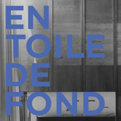 Marie DuPasquier - Regard sur l'exposition | En toile de fond