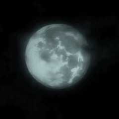clair de lune [rain+thunder] // claude debussy