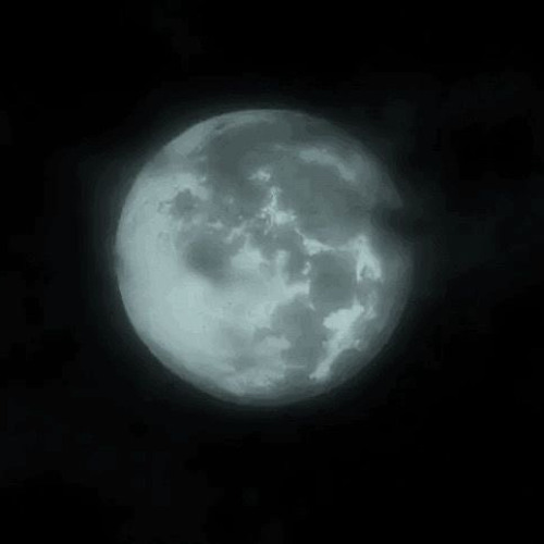 clair de lune [rain+thunder] // claude debussy