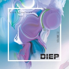 Stijn Vermeulen pres. Diep2.5