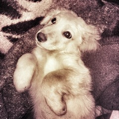 el odio nunca gana.(Feat. Ivx Beats)