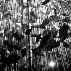 waxed frequencies 02