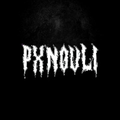 SONIX - pxnouli