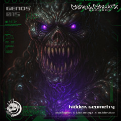 Hidden Geometry  [GENOS-015]