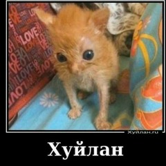 я уеду в Комарова