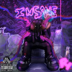 INSANE (Prod. by FlameFlowers & Palmerie Pride)