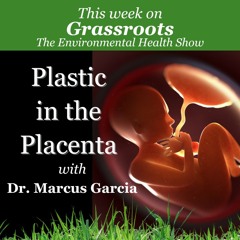 Plastic in the Placenta with Dr. Marcus Garcia