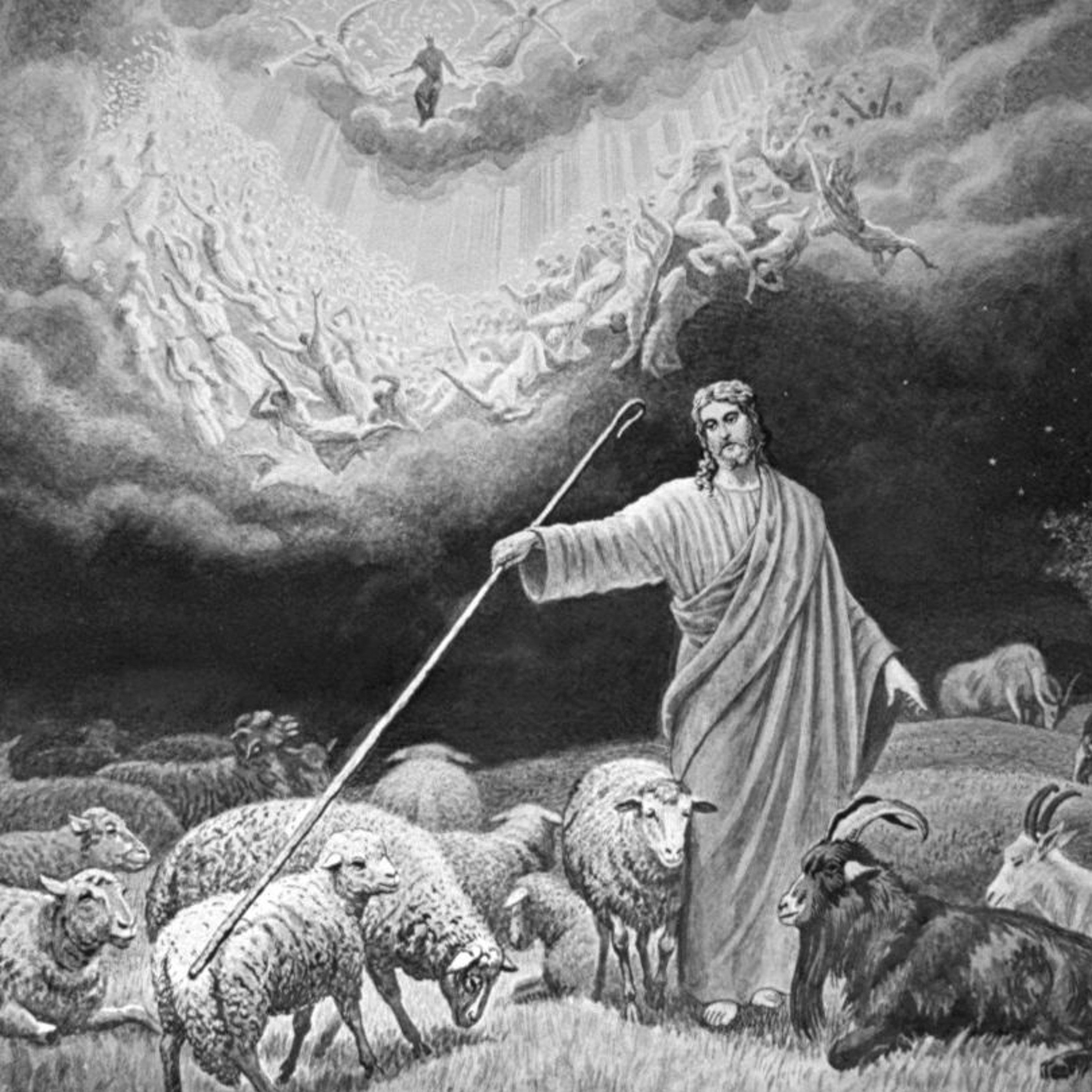 Surely Sheep episode artwork