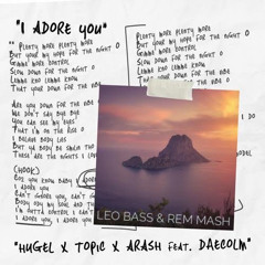 HUGEL, Topic, Arash - I Adore You (Leo Bass & Rem Mashup 2024)