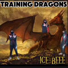 TRAINING DRAGONZ