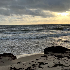 Sailing into the Night