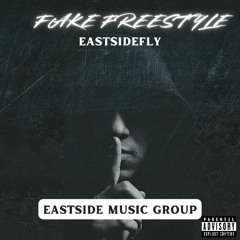 fake freestyle